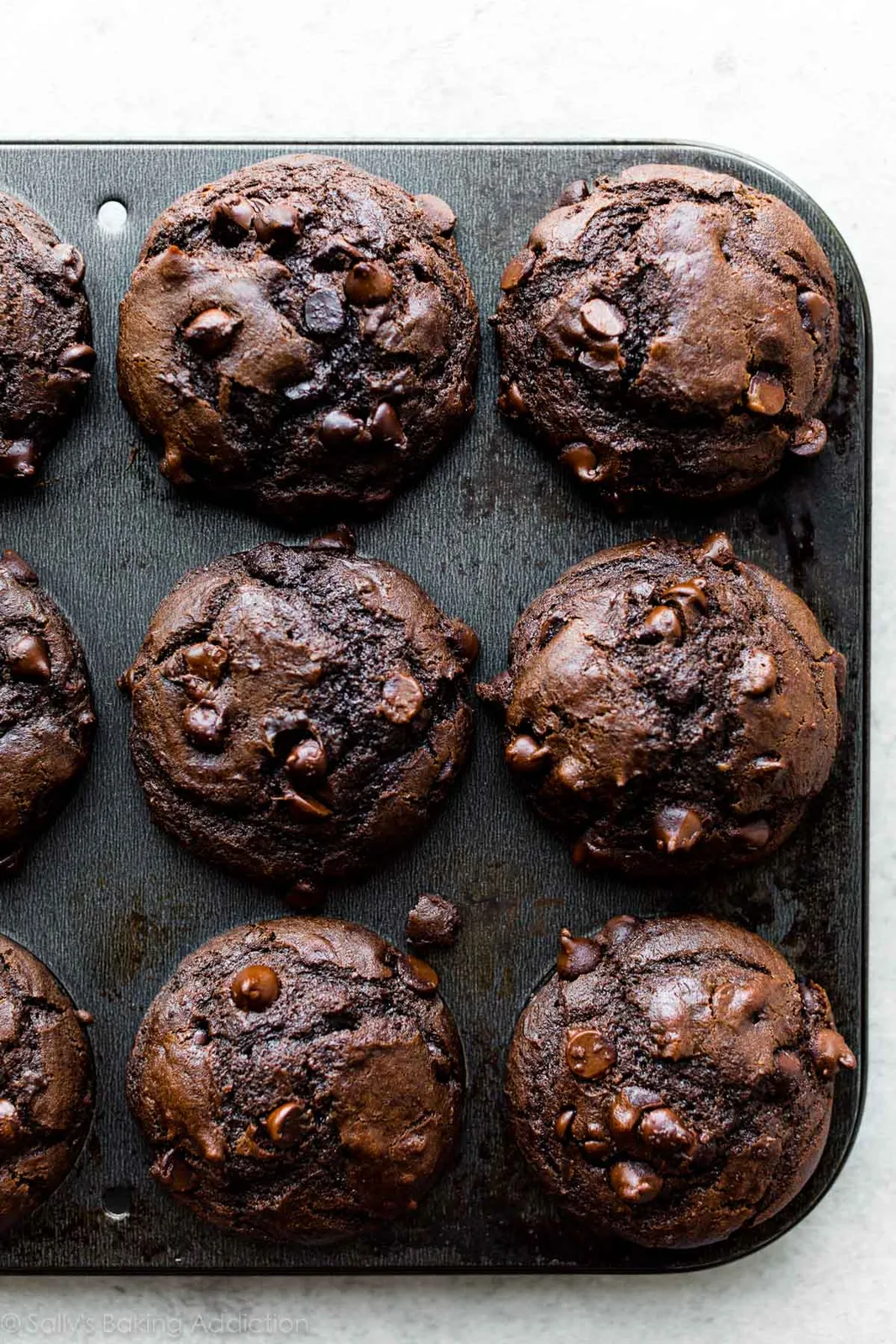 Double Chocolate Muffins